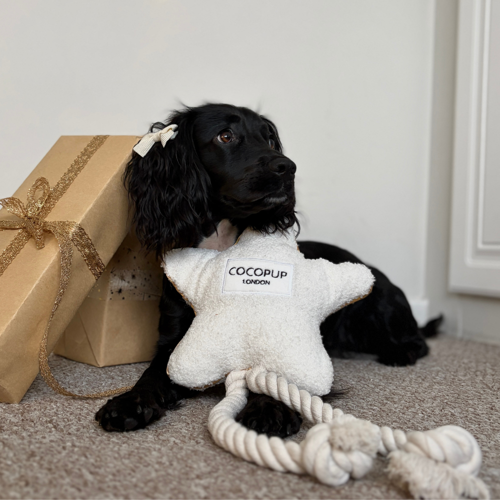 Star Cosy Dog Toy