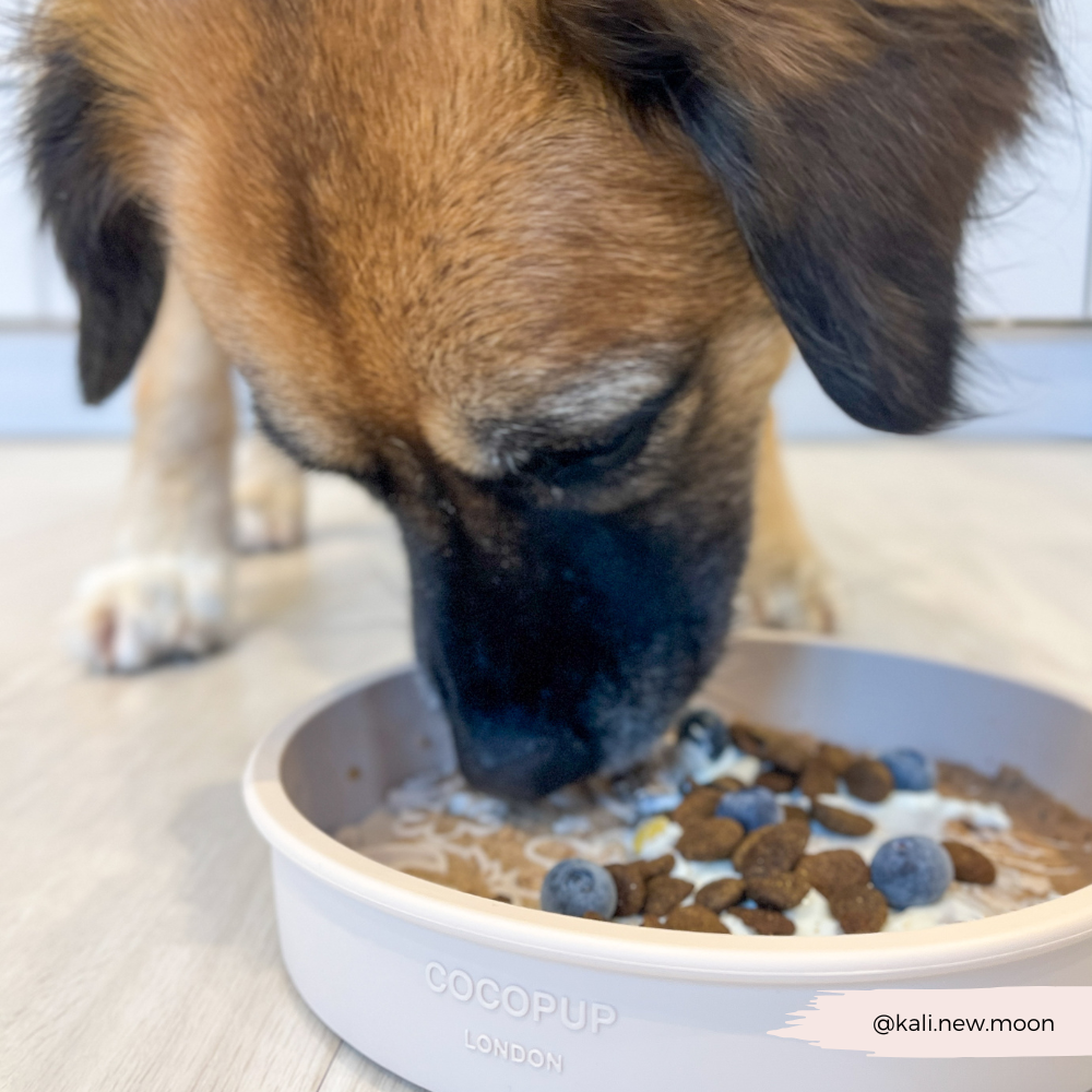 Silicone Slow Feed Dog Bowl - Pupberry Fields