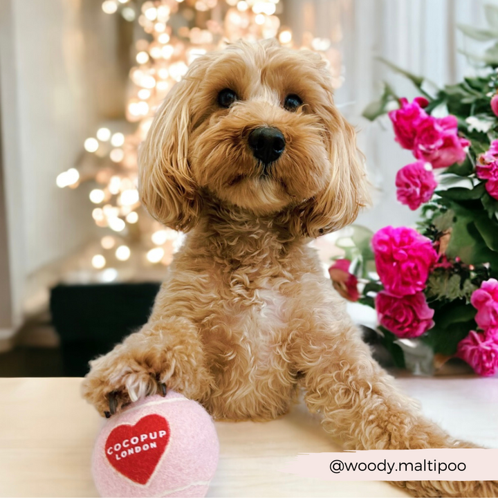 Tennis Ball - Pink & Red Heart