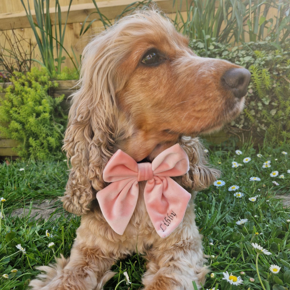 PERSONALISED Velvet Sailor Bow Tie - Baby Pink