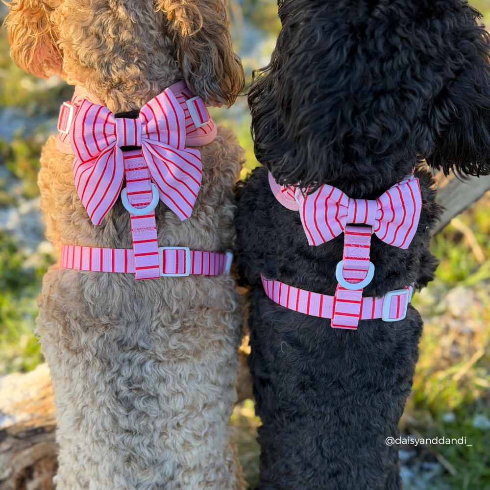 Candy Stripe Sailor Bow Tie