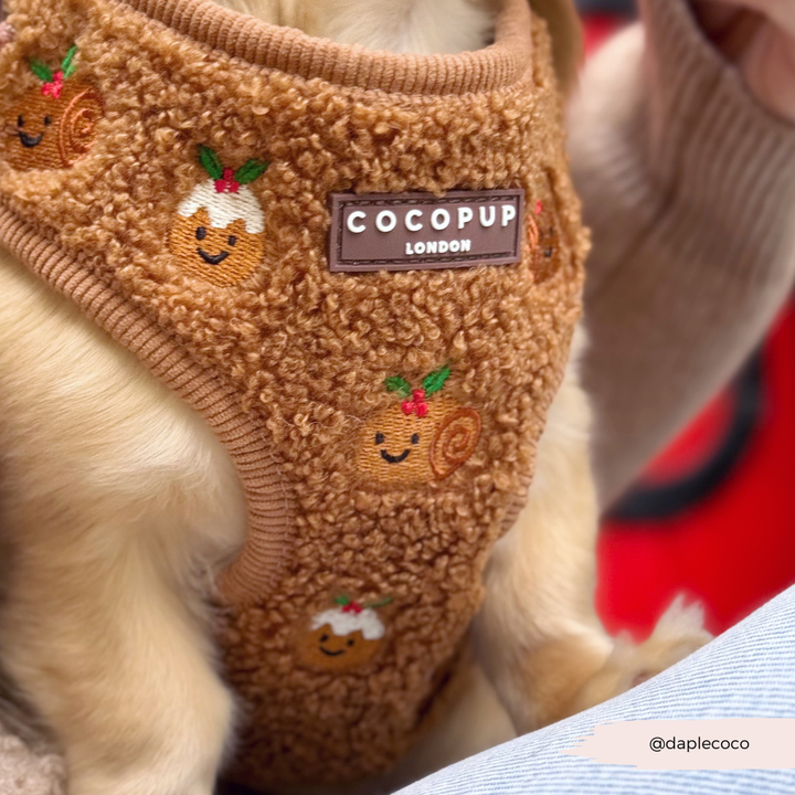 Festive Pudding Pup Adjustable Neck Harness, Lead & Collar Bundle