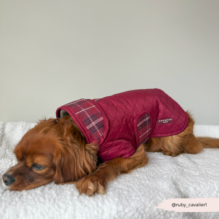 PERSONALISED Quilted Dog Coat - Mulberry Plaid