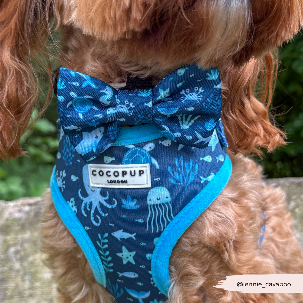 Sea Life Pawty Bow Tie