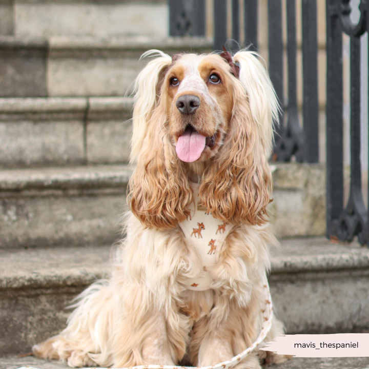 Fleecy Fawn Adjustable Neck Harness, Lead & Collar Bundle