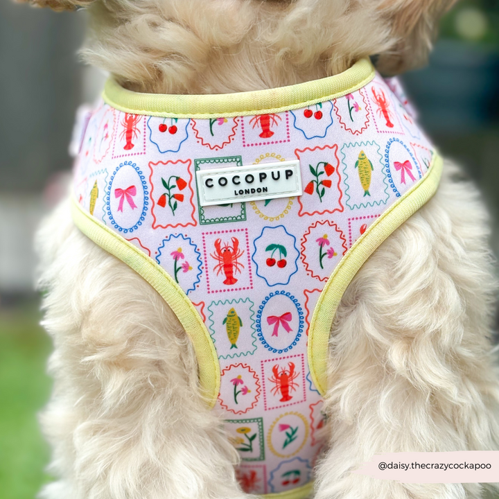 Dolce Vita Adjustable Neck HARNESS