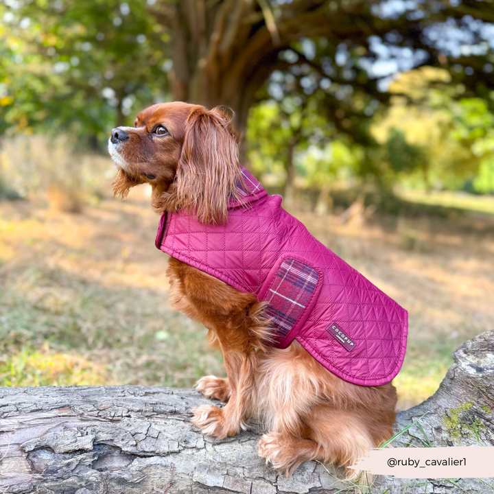 PERSONALISED Quilted Dog Coat - Mulberry Plaid