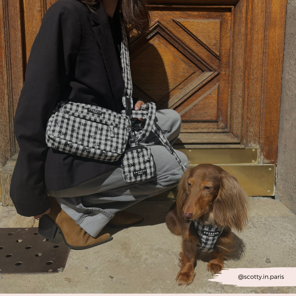 Pup in Paris Dog Walking Bag Bundle - Pup in Paris