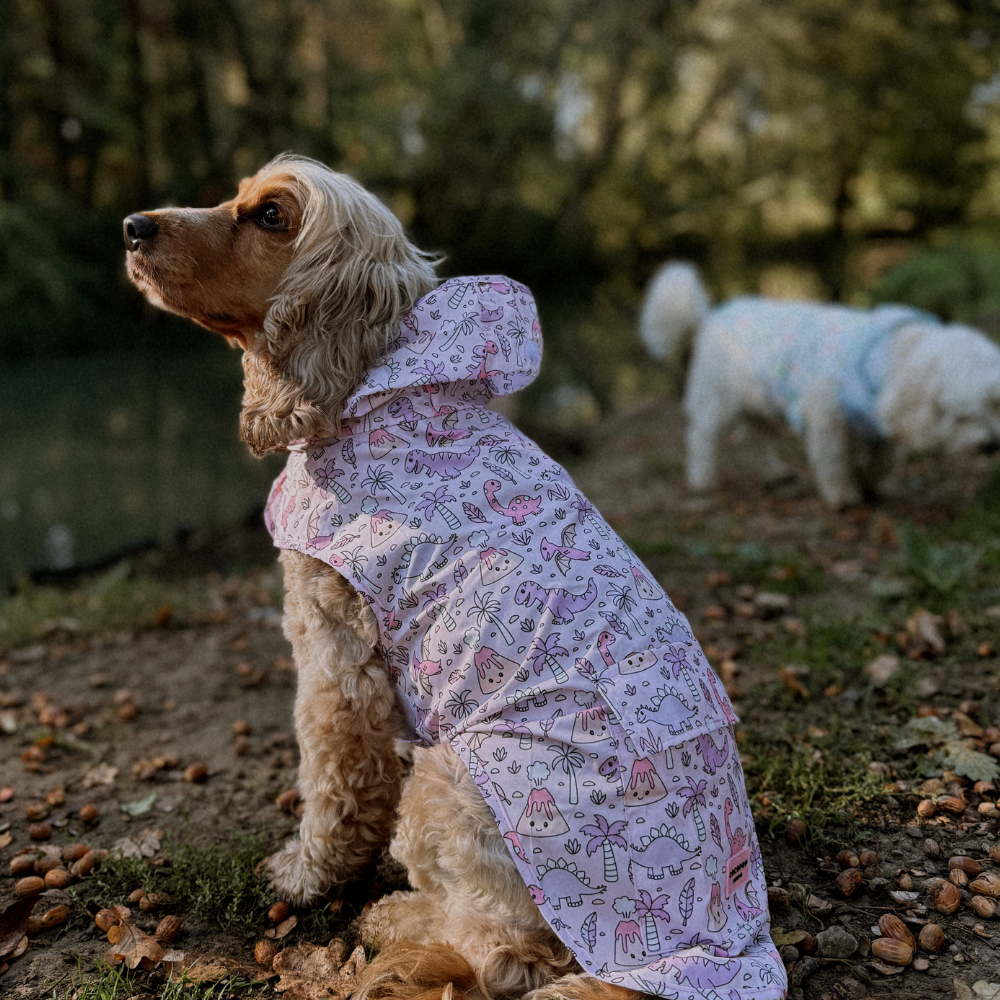 Dog Raincoat - Princess Dino