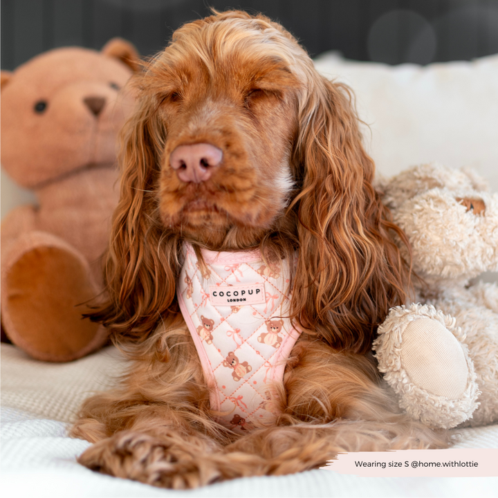 Quilted Thea Teddy Adjustable Neck Harness