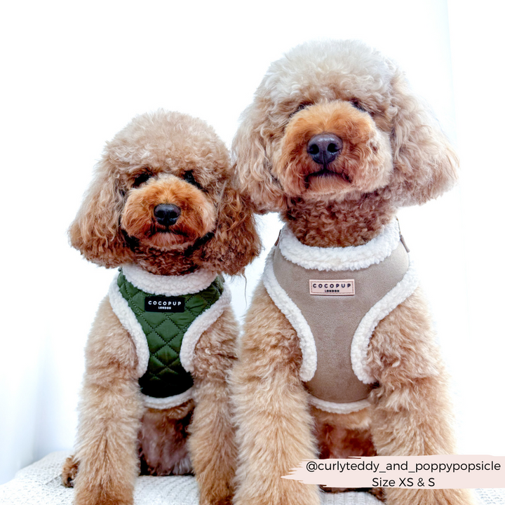 Khaki Quilted Adjustable Neck Harness, Lead & Collar Bundle