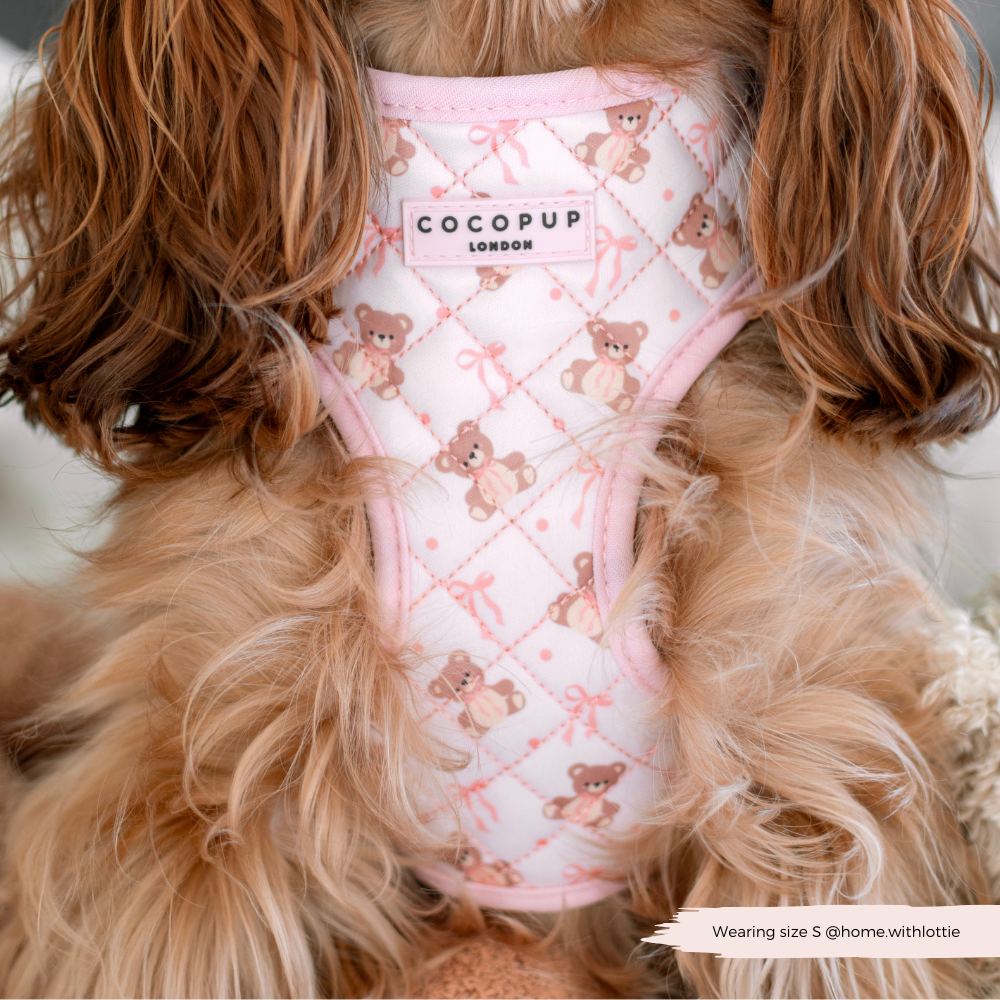 Quilted Thea Teddy Adjustable Neck Harness, Lead & Collar Bundle