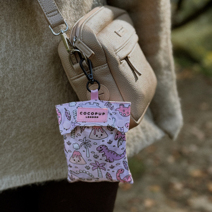 Dog Raincoat - Princess Dino