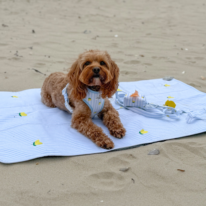 PERSONALISED Travel Mat - Living La Vida Lemon