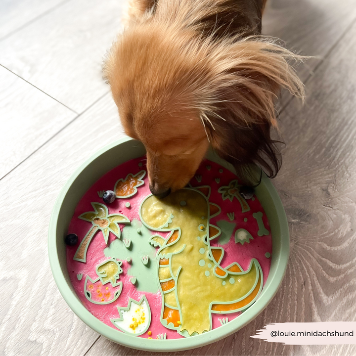 Silicone Slow Feed Dog Bowl - Dinopaws