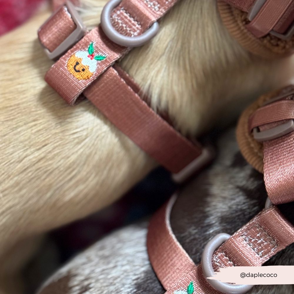 Festive Pudding Pup Adjustable Neck Harness, Lead & Collar Bundle