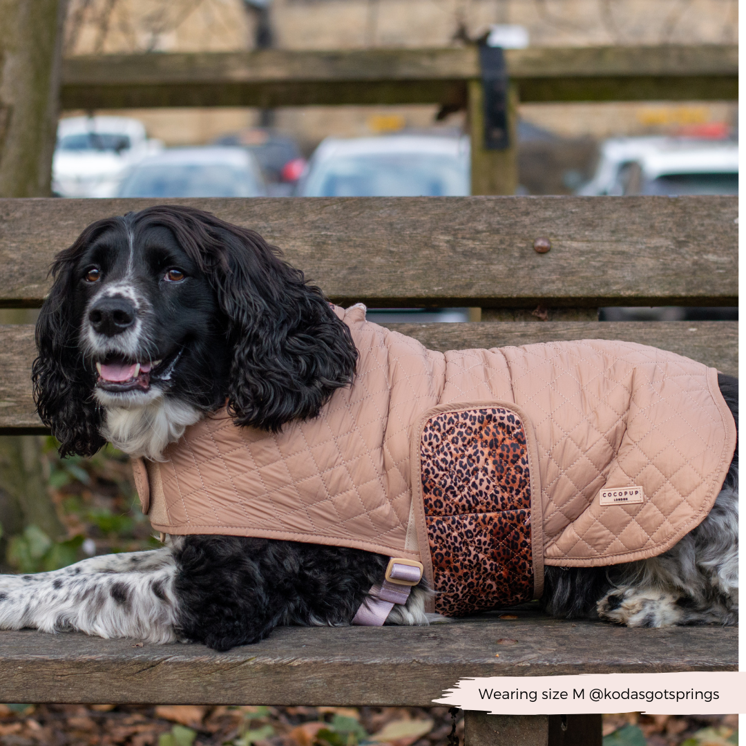 LUXE Quilted Dog Coat - Leopard Pup