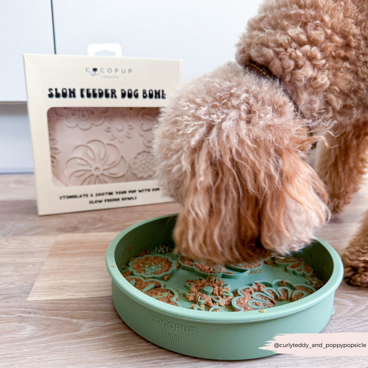 Silicone Slow Feed Dog Bowl - Sage Flowers