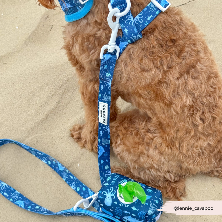 Sea Life Pawty Adjustable Neck Harness, Lead & Collar Bundle