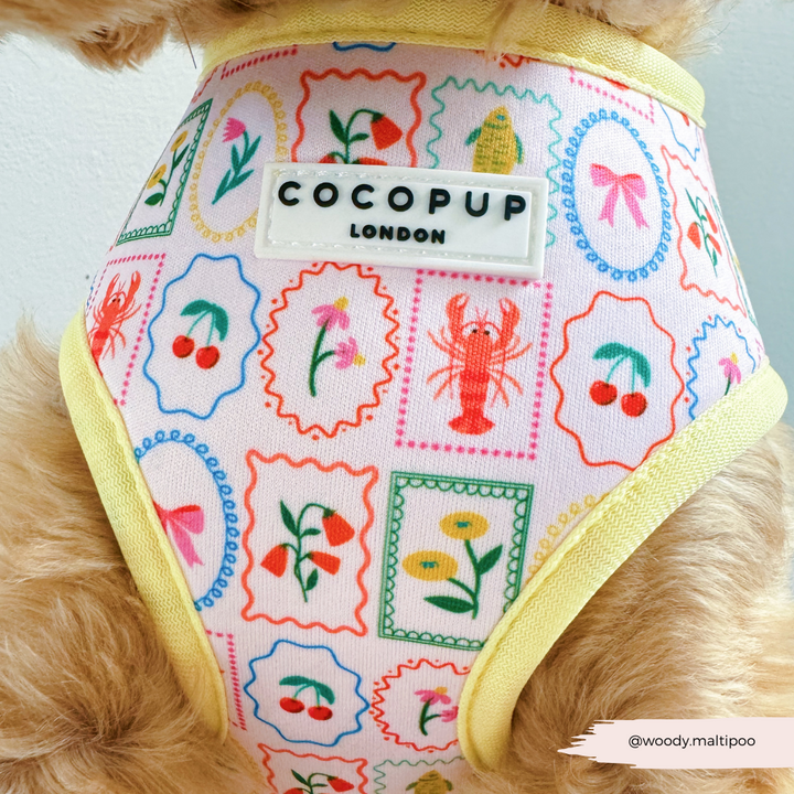 Dolce Vita Adjustable Neck HARNESS