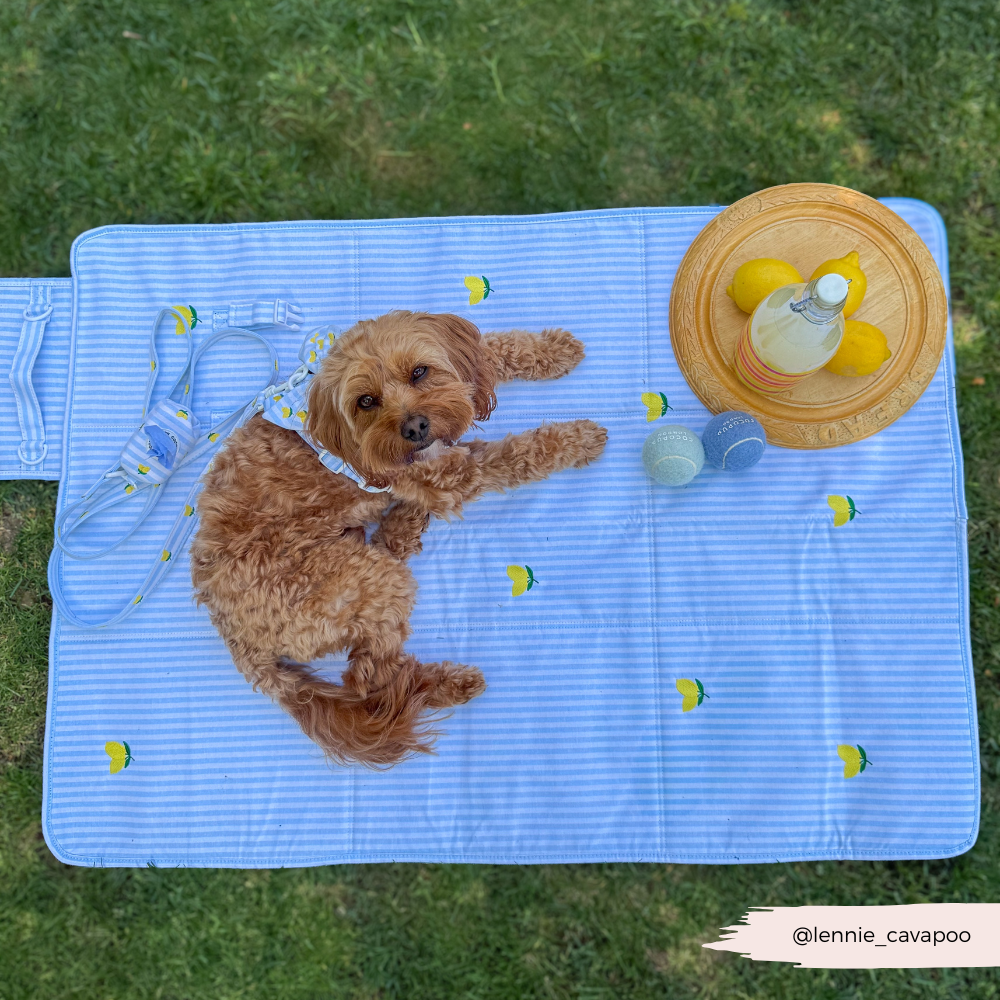 PERSONALISED Travel Mat - Living La Vida Lemon