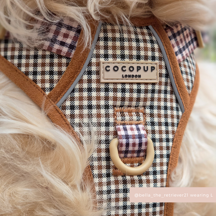 Explore Harness - Heritage Check