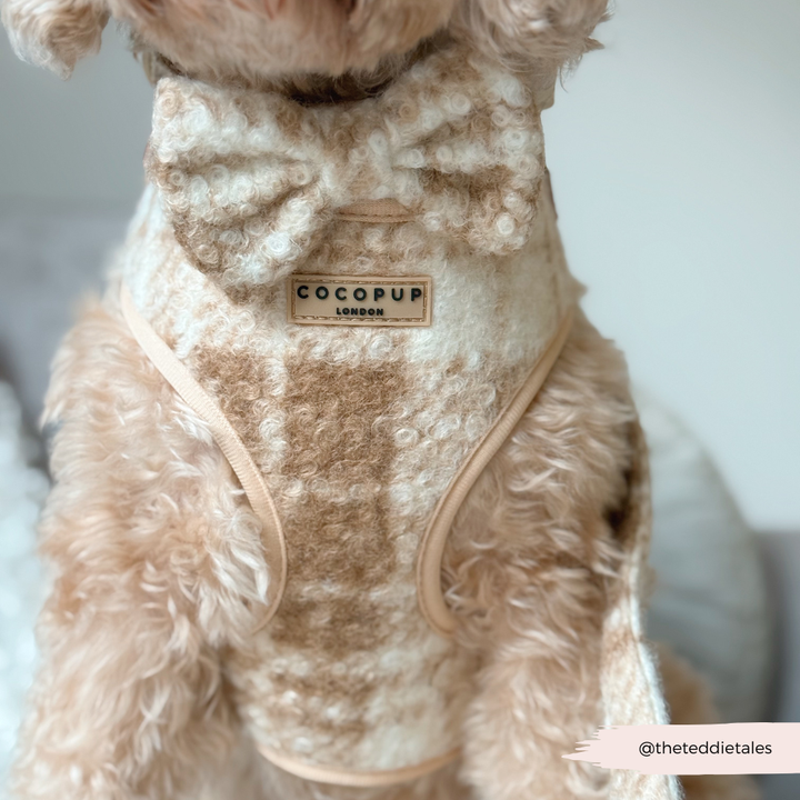 Highland Fleece Adjustable Neck Harness, Lead & Collar Bundle - Oatmeal