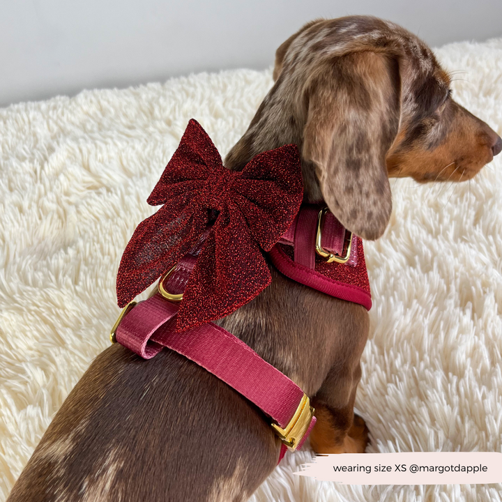 Limited Edition Burgundy Sparkle Pup Adjustable Neck Harness, Lead & Collar Bundle