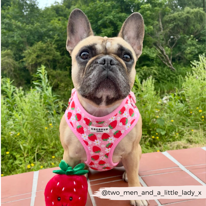 Pupberry Fields Adjustable Neck Harness