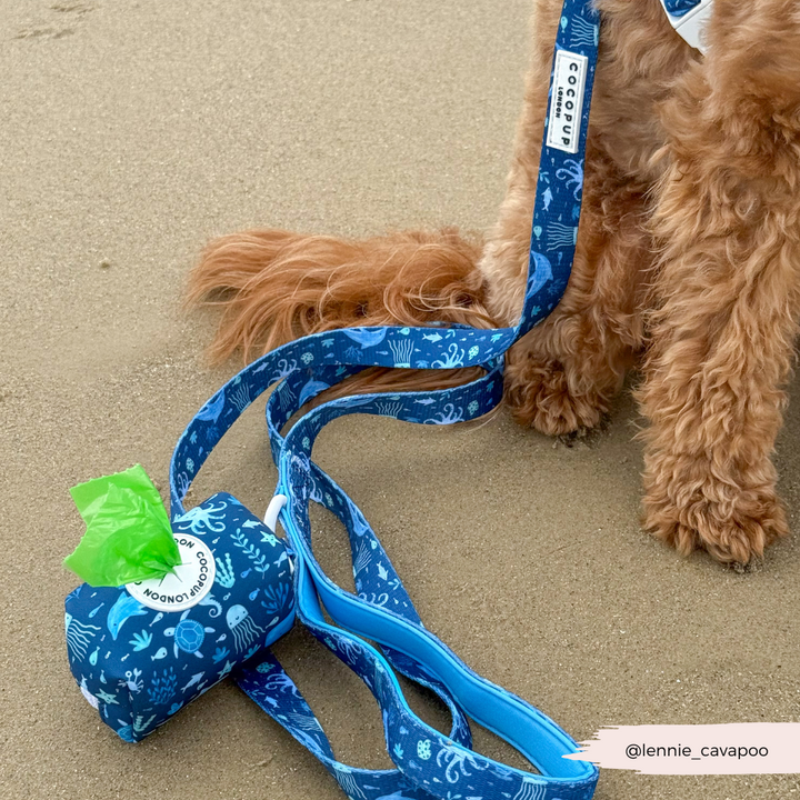 Sea Life Pawty Adjustable Neck Harness, Lead & Collar Bundle