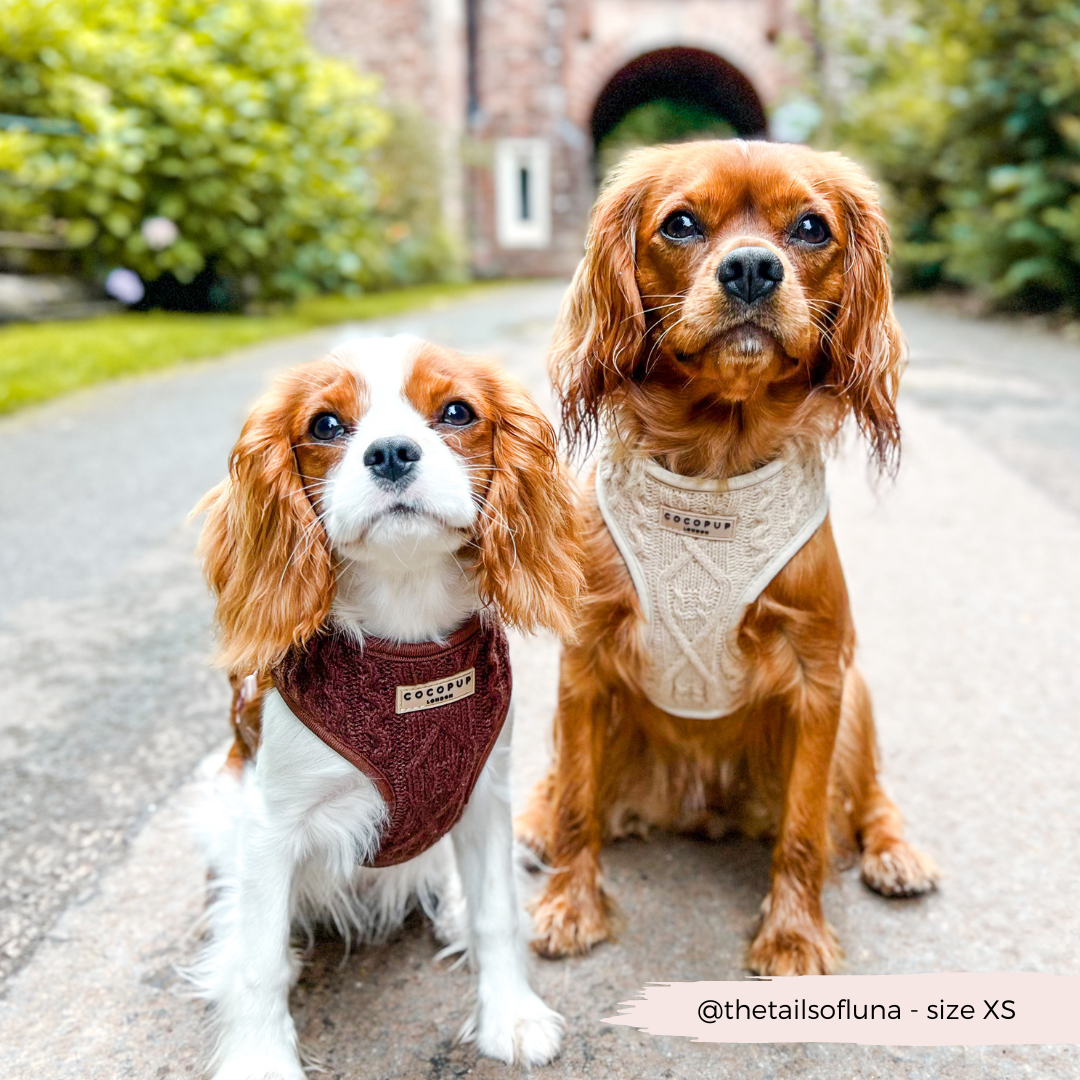 Cable Knit Jumper Adjustable Neck Harness - Toffee Pup Latte