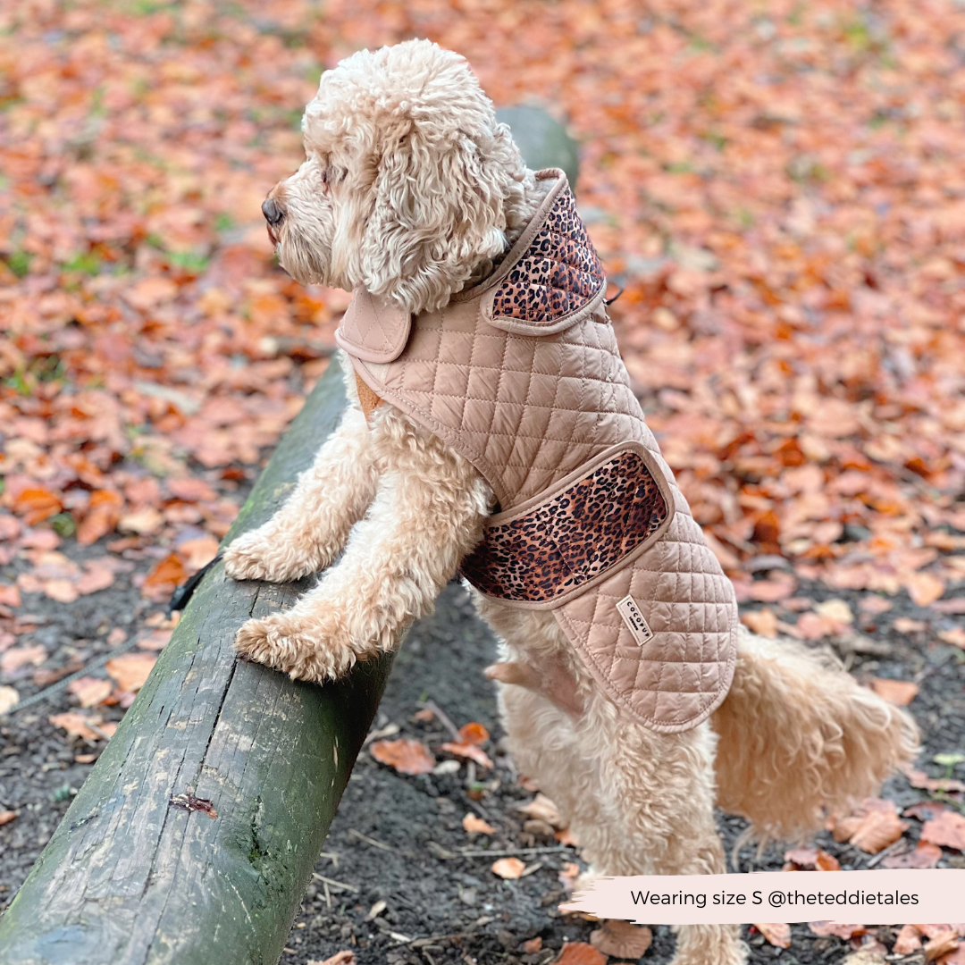 LUXE Quilted Dog Coat - Leopard Pup