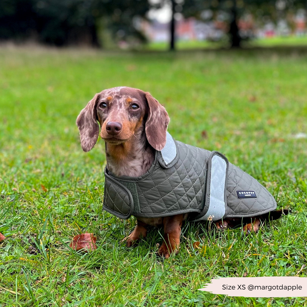 LUXE Quilted Dog Coat - Country Khaki