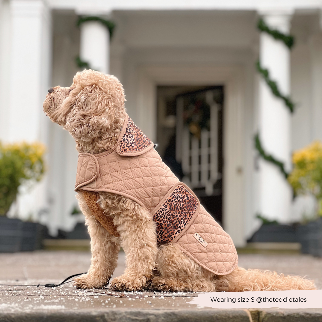 LUXE Quilted Dog Coat - Leopard Pup