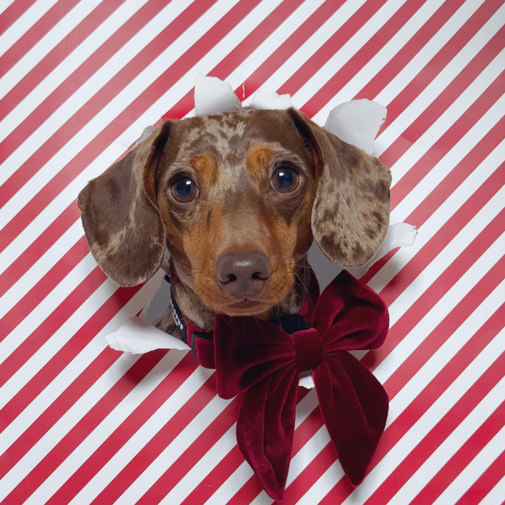 Luxe Velvet Sailor Bow Tie - Berry Red