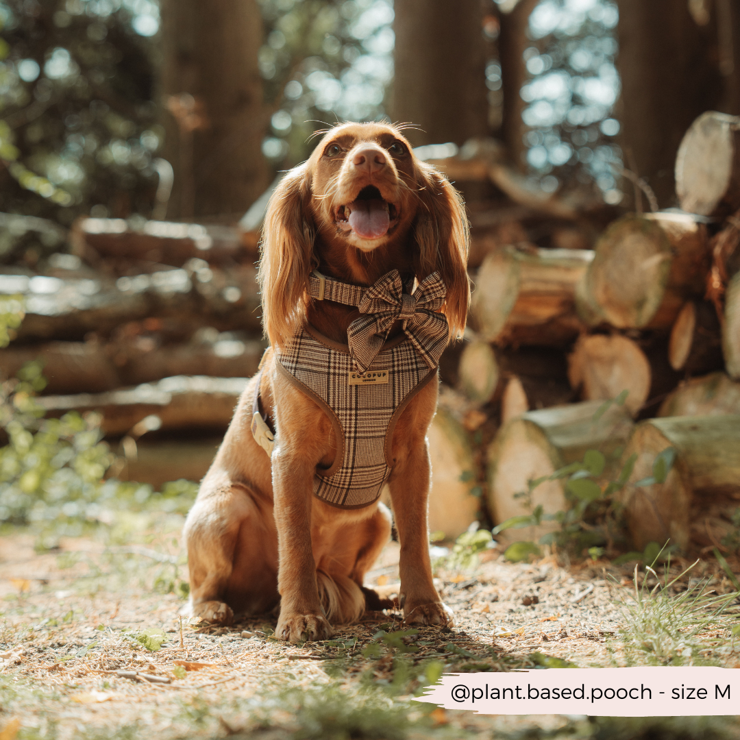 Pup Plaid Collar