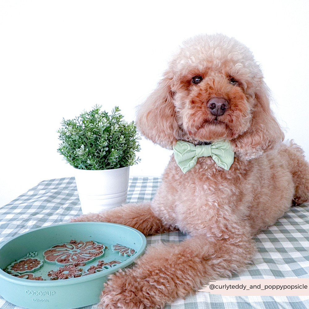 Silicone Slow Feed Dog Bowl - Sage Flowers