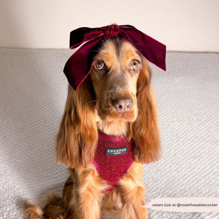 Limited Edition Burgundy Sparkle Pup Adjustable Neck Harness