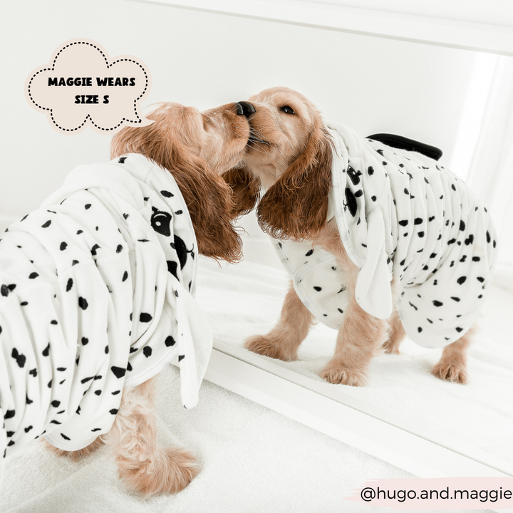 A dog with light brown fur and long ears stands in front of a mirror, sporting a chic Dalmatian Drying Robe from Cocopup London. The robe features a stylish white and black polka-dotted design made from premium microfibre. Text on the image reads "MAGGIE WEARS SIZE S." The Instagram handle "@hugo.and.maggie" is displayed in the corner.