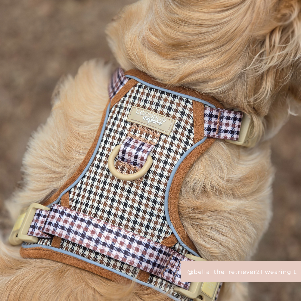 Explore Harness - Heritage Check