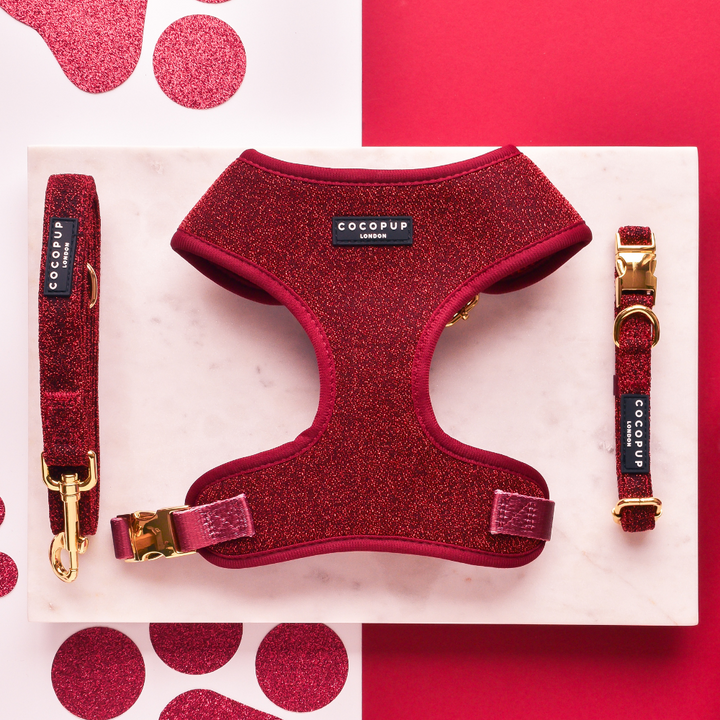 Limited Edition Burgundy Sparkle Pup Collar