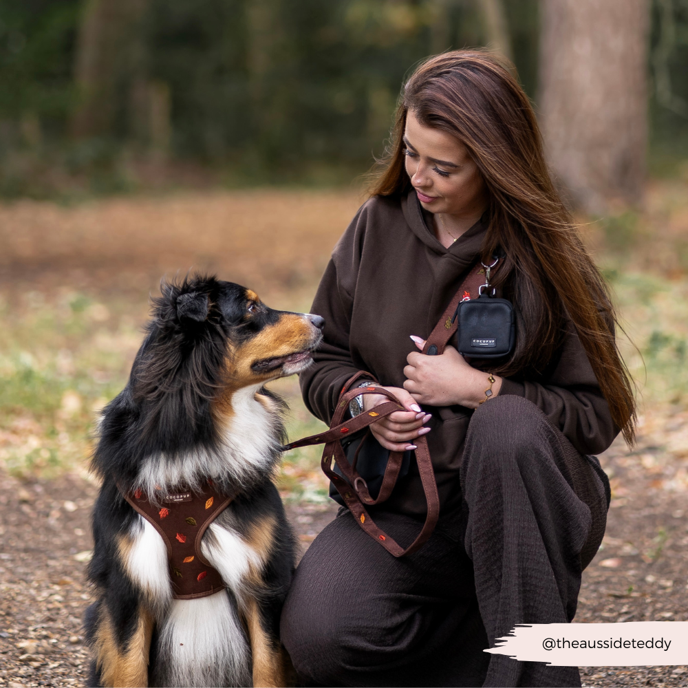 Bag Strap - Pawtumn Leaves