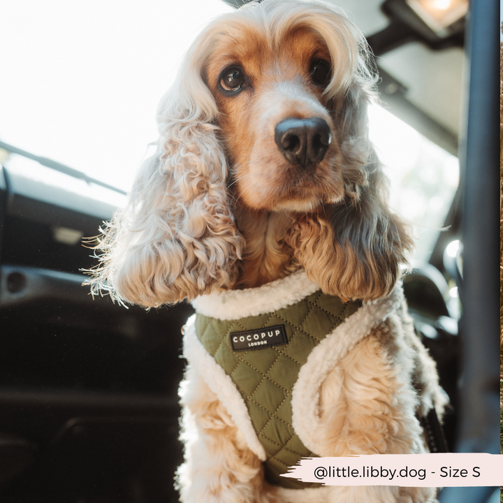 Khaki Quilted Adjustable Neck Harness, Lead & Collar Bundle