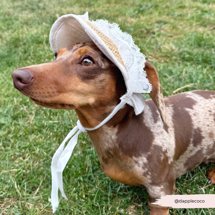 Dog Straw & Lace Sun Hat