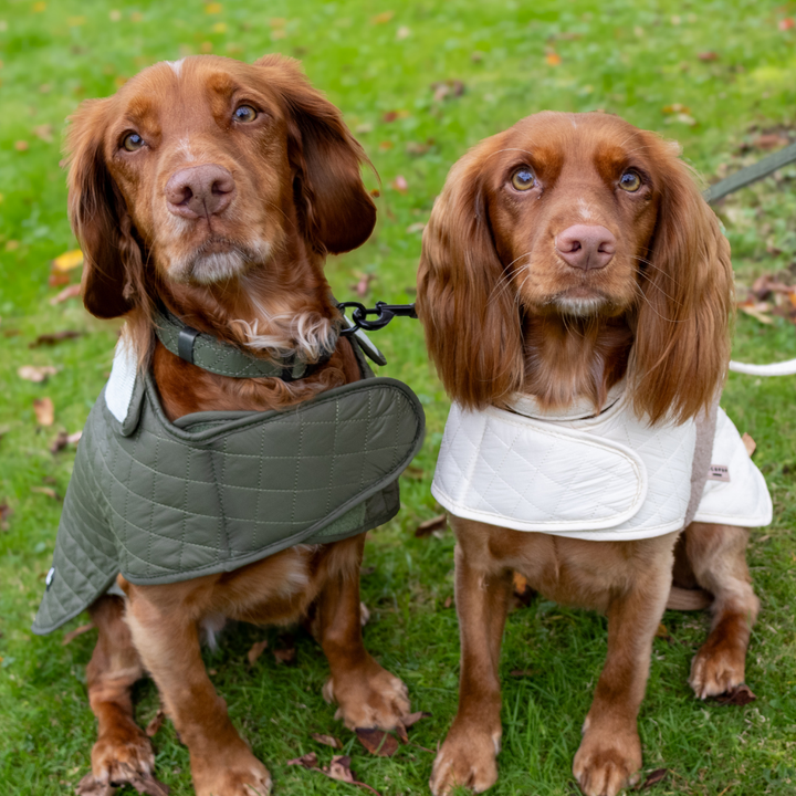 LUXE Quilted Dog Coat - Creamy Chai