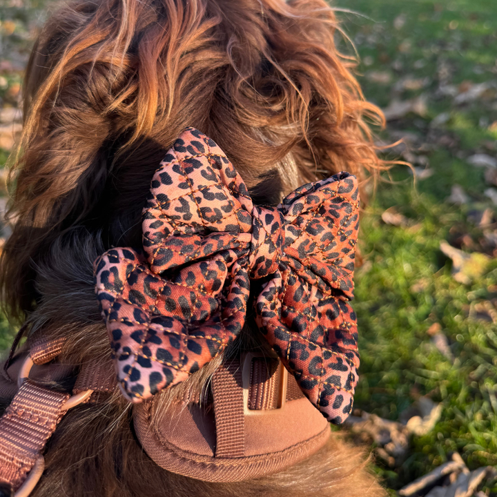 Quilted Leopard Pup Sailor Bow Tie