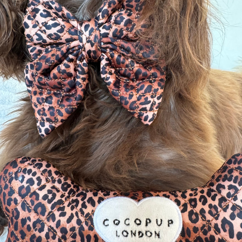 Quilted Leopard Pup Sailor Bow Tie