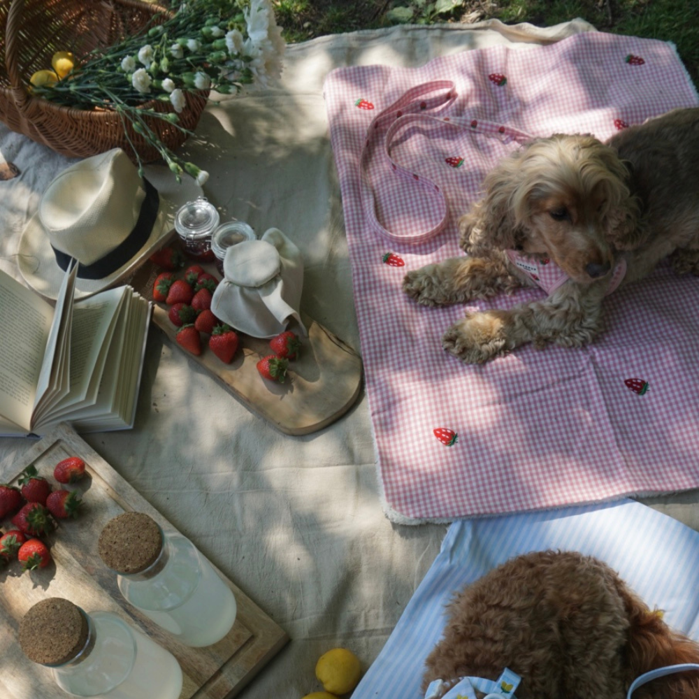 Blanket - Strawberry Picnic Pup