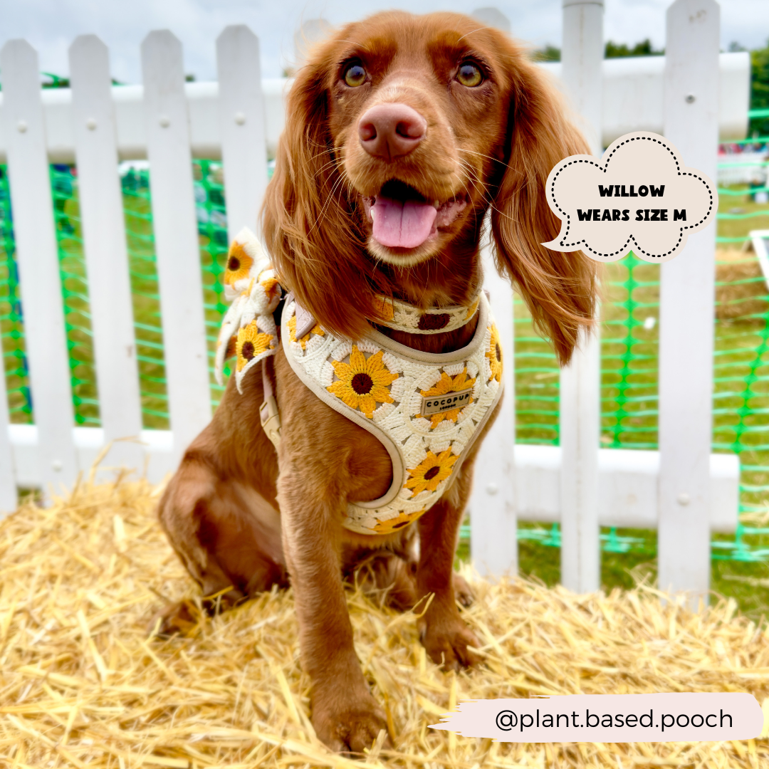 A brown dog sits on straw, sporting a Sunflower Patch Adjustable Neck Harness with a bow from Cocopup London. A speech bubble above its head reads, “Willow wears size M.” The background features a white picket fence and some grassy area. The Instagram handle "@plant.based.pooch" appears at the bottom right.