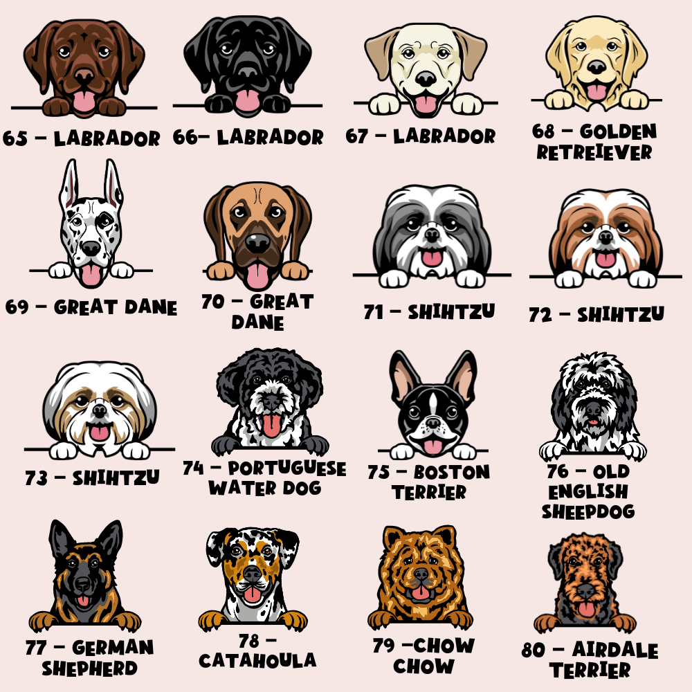 Personalised Dog Cartoon ID Tag - Daisy Chain